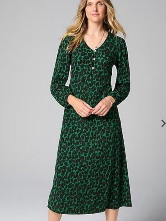 J. Jill Dresses & Skirts - J. Jill Leopard Print A Line Dress Size SP Small Petite Green Multi